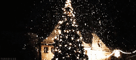 QQ圖片20201219103611.gif